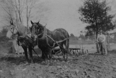 M.L. Shaw 1922 – With Prince and Harry