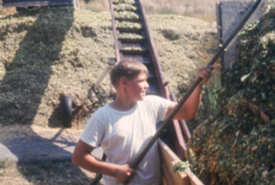 Wally Biedron unloading corn – At age 12, Wally was already working hard on the farm. Wally is the current Shaw Farm herdsman. Approx 1968.