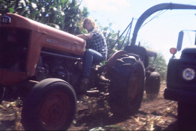 Warren Shaw Jr. – Chopping corn in 1972