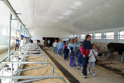 The cows live on cushioned mats, the feed delivery is more automated, the manure removal is automated. Come by for a visit and a tour.