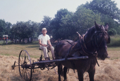 Ted Hudzik using a hay tedder – Our neighbor, Teddy, using a hay tedder, pulled by his horse, Jerry. about 1952