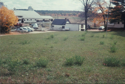 1960 – Before the first farm store was constructed.